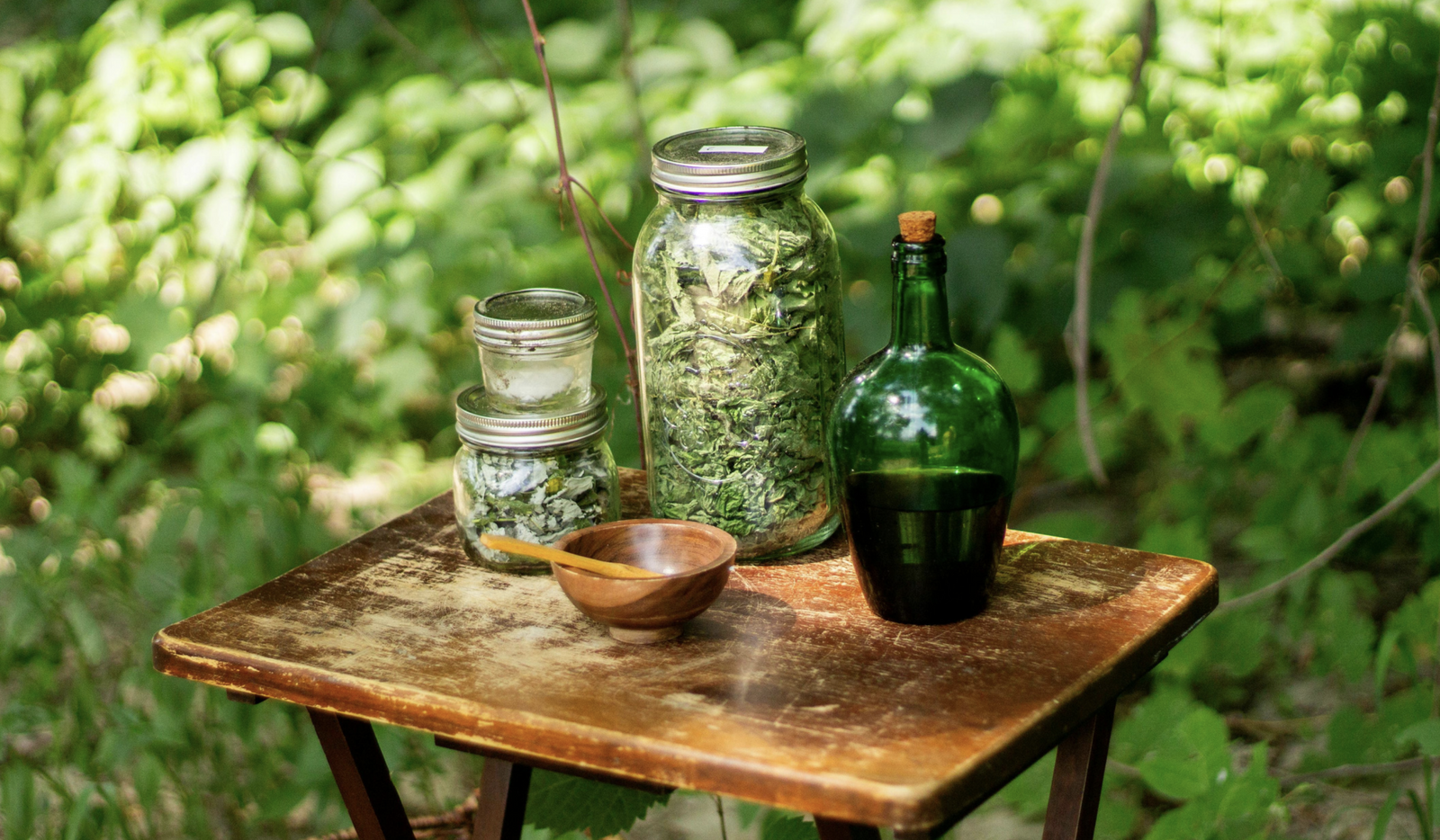 Green Witch Apothecary: Muskoka's Herbal Allies for Healing and Spellcraft