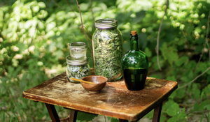 Green Witch Apothecary: Muskoka's Herbal Allies for Healing and Spellcraft