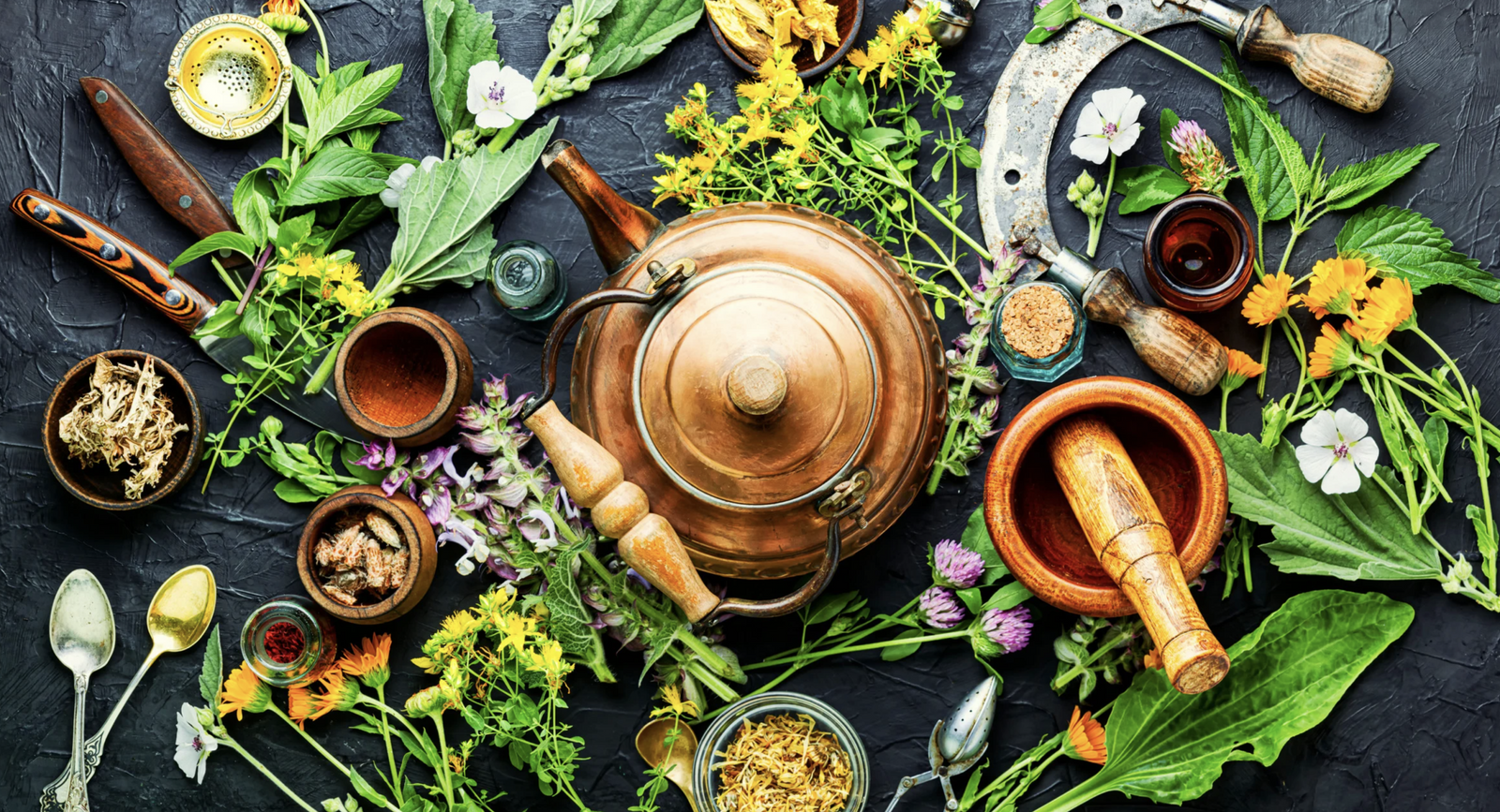 Three Healing Plants of Muskoka: Mullein, Stinging Nettle, and Yarrow