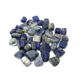 Lapis Lazuli Tumbled Stone (3/4"–1.5") - 1 lb