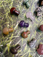 Assorted Crystal Mushrooms
