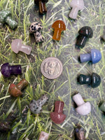 Assorted Crystal Mushrooms