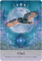 Lunar Magic Oracle