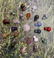Assorted Crystal Mushrooms
