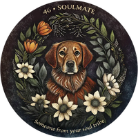 Arcana Folia Oracle