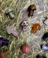 Assorted Crystal Mushrooms