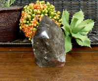 50-100g - Crystal Raw Smoky Quartz Semi-Polished Point