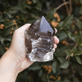 500-600g.- Crystal Raw Smoky Quartz Semi-Polished Point