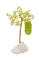 Lrg Peridot Crystal Tree (100 Beads)