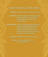 Mudras for Awakening the Energy Body Deck