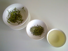 Sencha