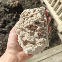 Phantom Garden Quartz Cluster 425g