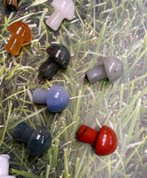 Assorted Crystal Mushrooms