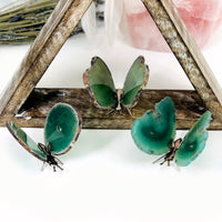 Black Butterfly Crystal Agate Druzy on Stand