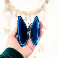 Teal Butterfly Crystal Agate Druzy on Stand