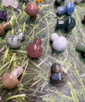 Assorted Crystal Mushrooms