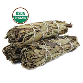 Yerba Sana Smudge Stick 4"